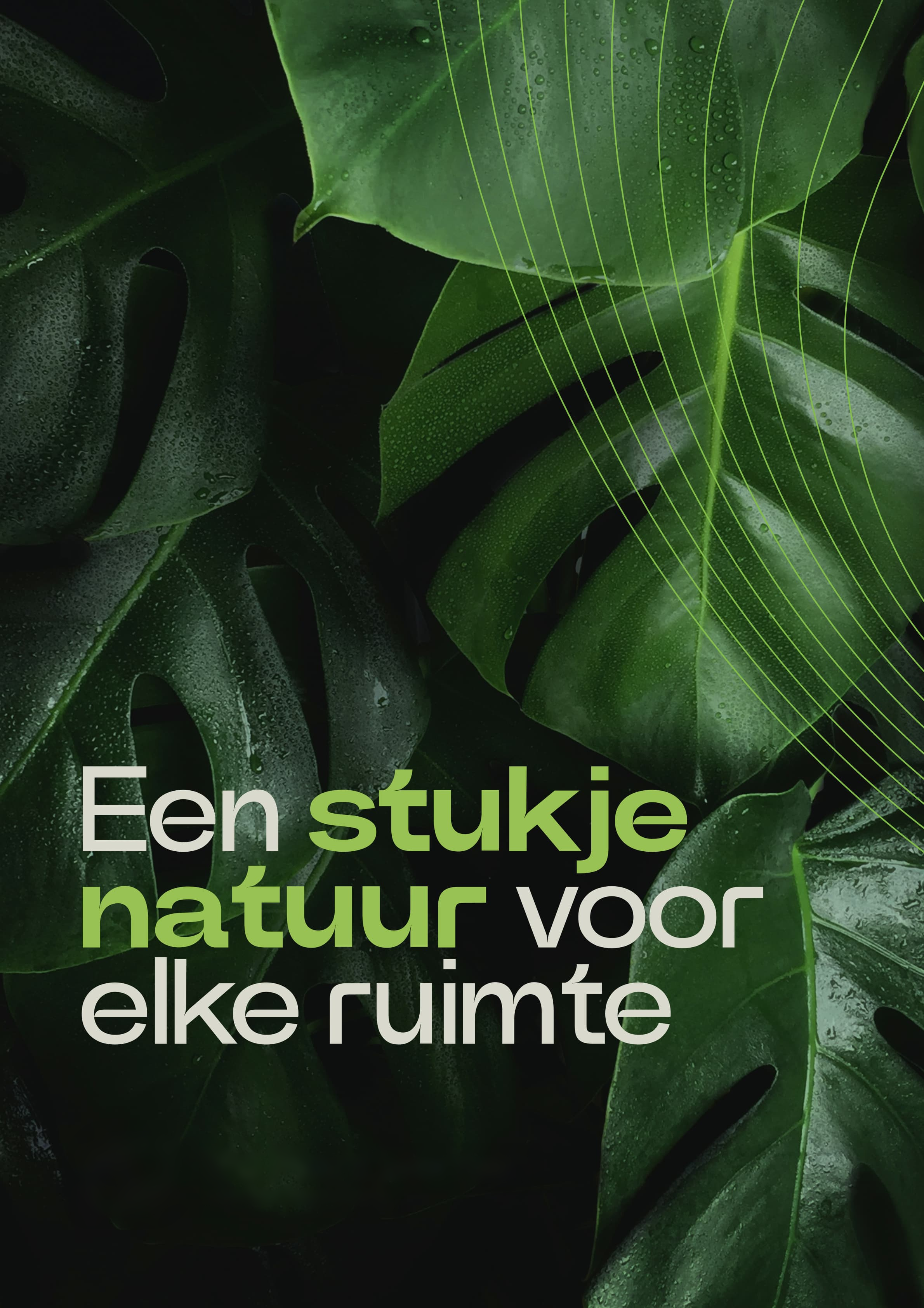 Voorblad